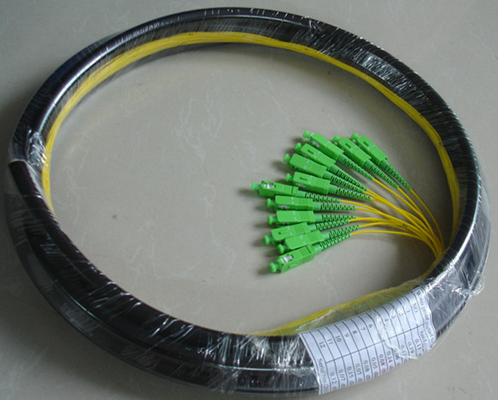 China Waterproof 12 Core Fiber Optic Pigtail With SC APC Connector PE Jacket supplier